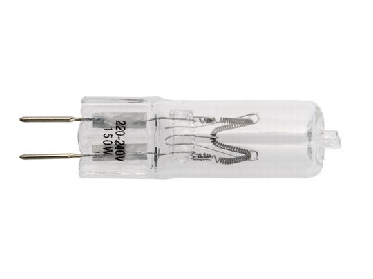 Terronic Żarówka pilotująca 150W/230V do lamp Basic 200/400 (wysyłamy 1-2 dni)