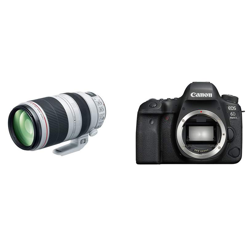 Canon EOS 6D Mark II + EF 100-400mm f/4,5-5,6L IS II USM - Dostawa GRATIS!