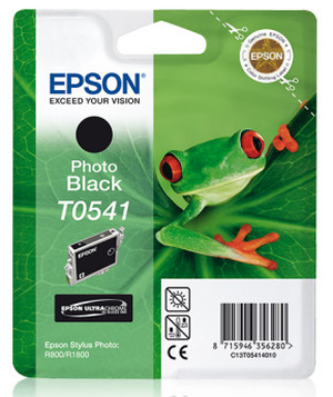 Epson T0541 Photo Black