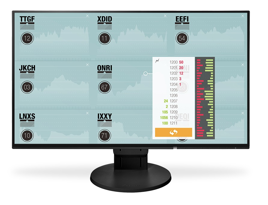 Eizo FlexScan EV2451 czarny