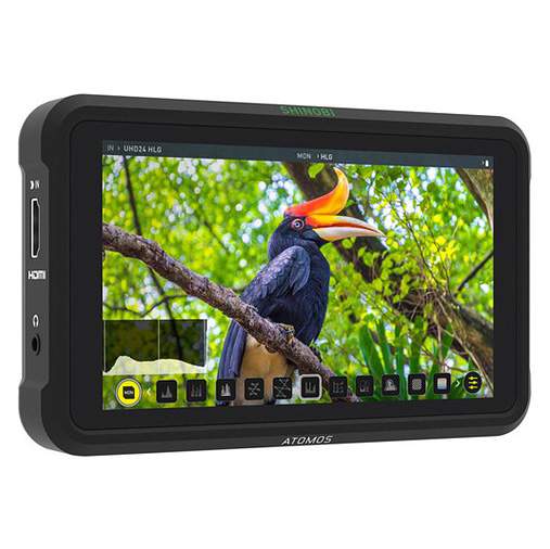 Atomos SHINOBI HDMI (w magazynie!) - Dostawa GRATIS!