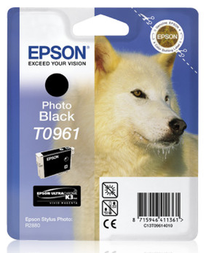 Epson T0961 Photo Black