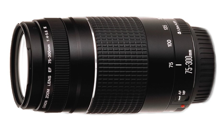 Canon 75-300 mm f/4.0-f/5.6 EF III (w magazynie!)