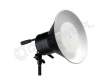 Bowens Trolite III flurescent