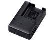 Casio BC-110L do NP-110