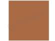 Colorama kartonowe 2,7x11m - Cardamon