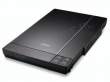 Epson Perfection V33