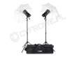 Terronic Basic Light 500 zestaw lamp