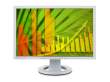 Eizo FlexScan S2243WFS beżowy