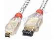 Lindy FireWire 6/4 Gold 3m