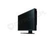 Nec SpectraView 231