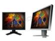 Eizo FlexScan S2100 beżowy