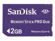 Sandisk Memory Stick PRO Duo 2 GB