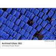 Fomei Archival Gloss 13x18/50 G265 