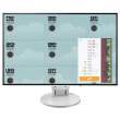EIZO FlexScan EV2456 biały