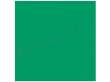 Colorama kartonowe 2,7x11m - Apple Green