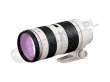 Canon 70-200 mm f/2.8L EF USM