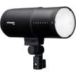 Zestaw lamp studyjnych Profoto D30 Duo Kit AirX