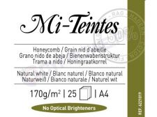 Papier Foto Canson Mi-Teintes A4 25 ark. 170g