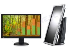 Monitor Eizo FlexScan EV2315W beżowo/czarny