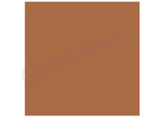 Tło Colorama kartonowe 2,7x11m - Cardamon