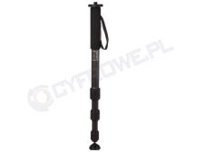 Monopod Benro C38T 