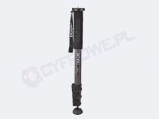 Monopod Benro A18T 