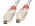 Lindy FireWire 4/4 Gold 2m
