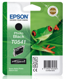 Epson T0541 Photo Black 