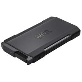 Sandisk SSD PRO-BLADE SSD M.2 TRANSPORT 2TB