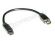 Lindy przejściówka FireWire 9/6 długość 0.2m