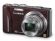 Panasonic Lumix DMC-TZ20 brązowy