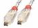 Lindy FireWire 4/4 Gold 10m