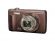 Olympus VR-360 brązowy