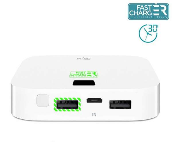 Puro Power Bank Fast Charger 10400 mAh 2x USB biała