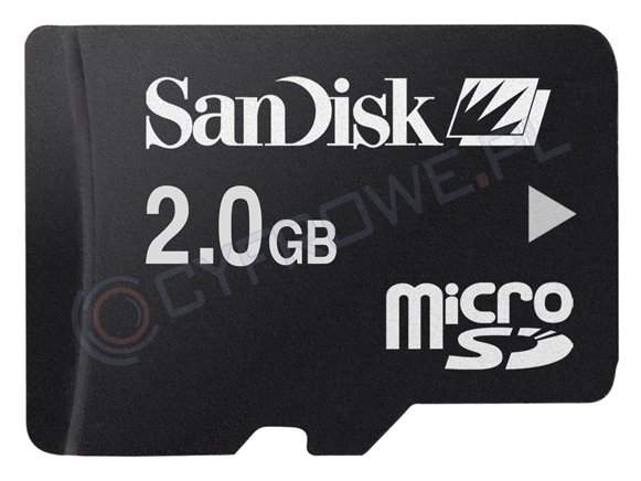 Karta pamięci Sandisk microSD 2 GB