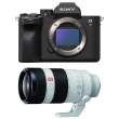 Sony A7 IV body + FE 100-400 mm f/4.5-5.6 GM