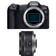 Canon EOS R8 + RF 16 mm f/2.8 STM