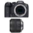 Canon EOS R7 + RF 24 mm f/1.8 Macro IS STM