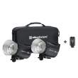 Elinchrom ELC PRO HD 500/500
