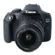 Canon EOS 2000D + 18-55 f/3.5-5.6 IS II s.n. 173072019521/7686069467