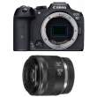 Canon EOS R7 + RF 35 mm f/1.8 Macro IS STM