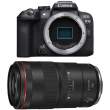 Canon EOS R10 + RF 100 mm f/2.8 L Macro IS USM