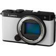 Aparat cyfrowy Panasonic Lumix S9 body biały Tył