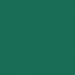 Tło kartonowe Colorama kartonowe 2,7x11m - Spruce Green Tył