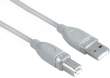 Kabel Hama kabel USB A-B 3 m Przód