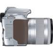 Lustrzanka Canon EOS 250D srebny + 18-55 mm f/4-5.6 Góra