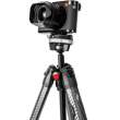 Statyw Peak Design Travel Tripod carbon / włókno węglowe limitowana edycja Leica Tył