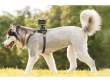  szelki i paski Sony AKA-DM1 Szelki dla psa umożliwiające instalację kamery Action Cam Tył