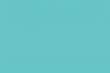 Tło kartonowe Colorama kartonowe 2,7x11m - Larkspur Tył